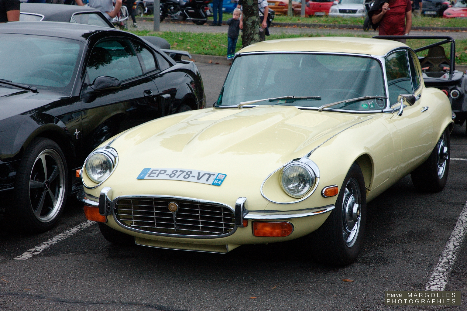 Jaguar Type E-03.jpg